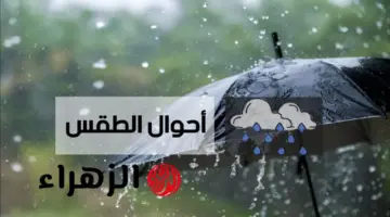 التفاصيل الكاملة.. تعليق الدراسة الحضورية في الرياض غداً الأربعاء وتحويلها “عن بُعد” عبر منصة مدرستي.